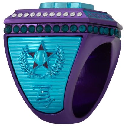 Supreme Teal & Purple Rings - Image 4